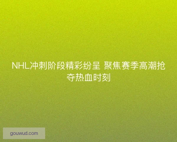 NHL冲刺阶段精彩纷呈 聚焦赛季高潮抢夺热血时刻